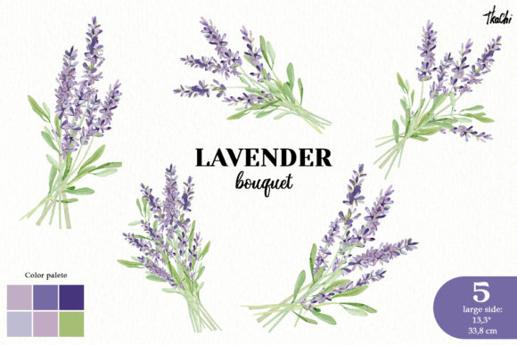 Download Watercolor Lavender Clipart Violet Png - Premium Resources